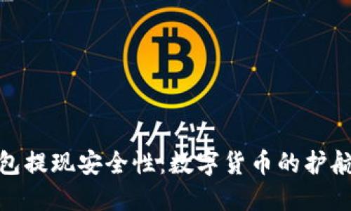 TP钱包提现安全性：数字货币的护航之道