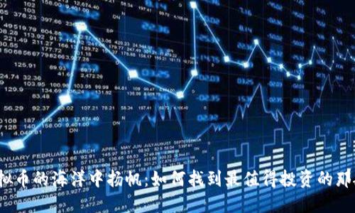 在虚拟币的海洋中扬帆：如何找到最值得投资的那艘船？