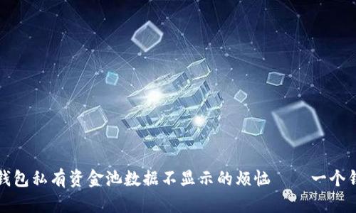 如何解决TP钱包私有资金池数据不显示的烦恼——一个钱包的小秘密