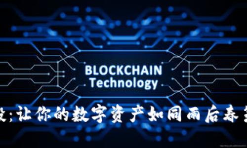 TP钱包接空投：让你的数字资产如同雨后春笋般蹭蹭上涨