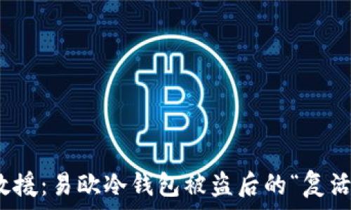   
紧急救援：易欧冷钱包被盗后的“复活”之路