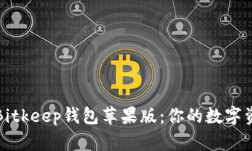 轻松下载Bitkeep钱包苹果版：你的数字资产保险柜
