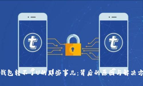 TP钱包转不了U的那些事儿：背后的原因与解决方案