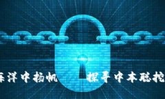 在数字货币的海洋中扬帆