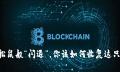 当TP钱包如同小松鼠般“闪