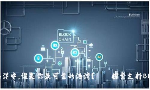 “在数字货币的海洋中，谁是你最可靠的港湾？——探索支持BNB智能链的钱包”