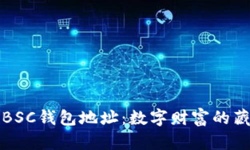 探秘BSC钱包地址：数字财富的藏宝图