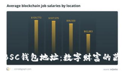 探秘BSC钱包地址：数字财富的藏宝图