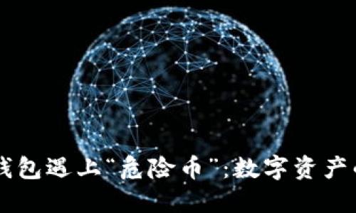 当你的TP钱包遇上“危险币”：数字资产的幽灵游戏