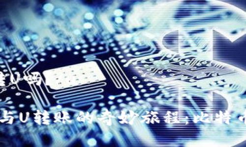u冷钱包可以转U吗？/u

### 冷钱包与U转账的奇妙旅程：比特币的“冰雪奇缘”