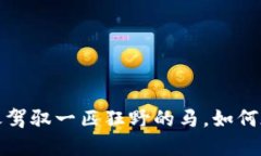 以太坊交易软件：像驾驭