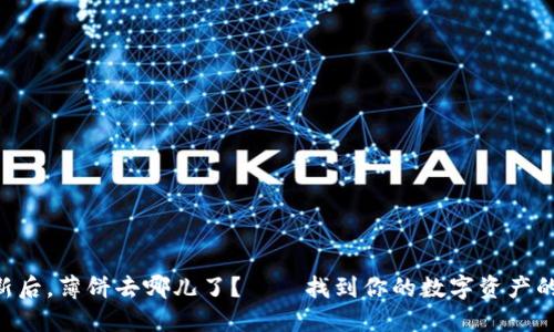 “TP钱包更新后，薄饼去哪儿了？——找到你的数字资产的秘密武器！”