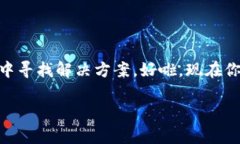 在TP钱包中查看观察包的方