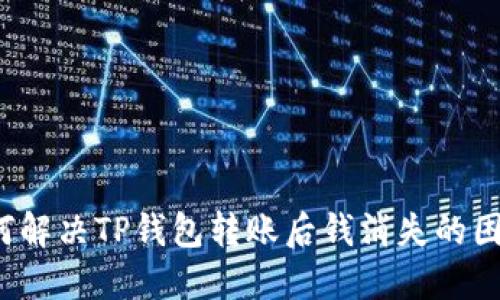 如何解决TP钱包转账后钱消失的困扰？
