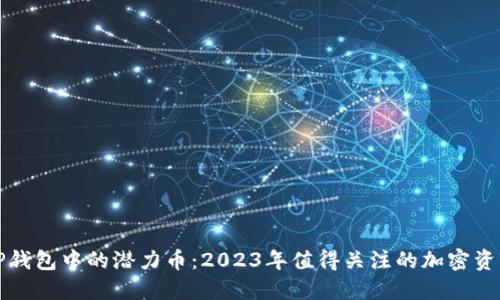 TP钱包中的潜力币：2023年值得关注的加密资产