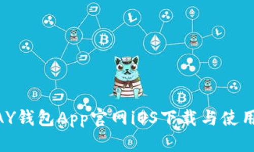 KDPAY钱包App官网iOS下载与使用指南