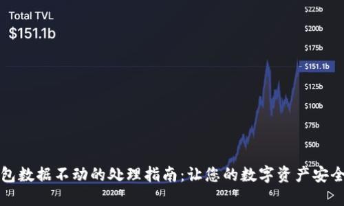 TP钱包数据不动的处理指南：让您的数字资产安全无忧