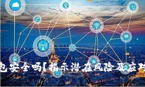 TP钱包安全吗？揭示潜在风险及应对策略