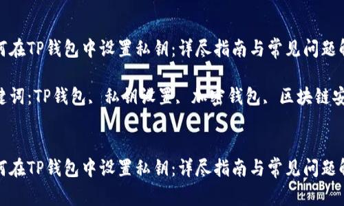 如何在TP钱包中设置私钥：详尽指南与常见问题解答

关键词：TP钱包, 私钥设置, 加密钱包, 区块链安全


如何在TP钱包中设置私钥：详尽指南与常见问题解答