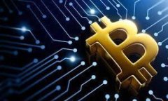 虚拟币案件全面解析：法