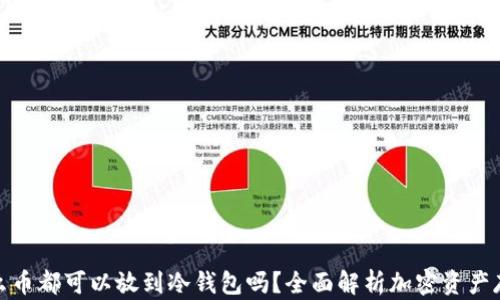 
什么币都可以放到冷钱包吗？全面解析加密资产存储