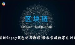 全面解析Gopay钱包使用教程