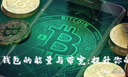  全面解析TP钱包的能量与带宽：提升你的区块链体验