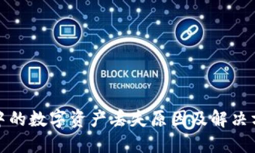 TP钱包中的数字资产丢失原因及解决方案详解