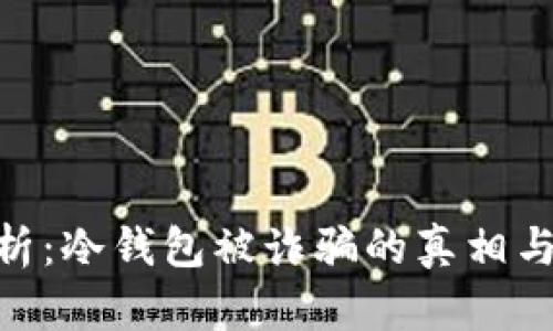 : 深入解析：冷钱包被诈骗的真相与防范措施