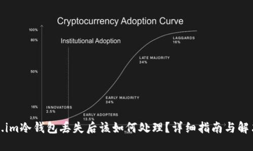 Token.im冷钱包丢失后该如何处理？详细指南与解决方案