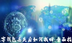 数字钱包丢失后如何找回：全面指南