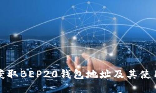 如何获取BEP20钱包地址及其使用指南