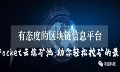 TokenPocket云端矿池：助你轻松挖矿的最佳选择