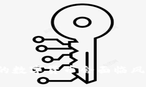 TP钱包中的数字货币会面临风控风险吗？