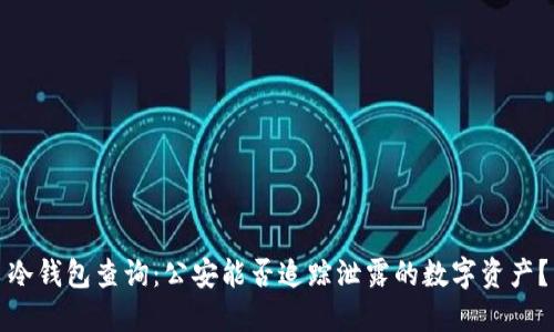 冷钱包查询：公安能否追踪泄露的数字资产？