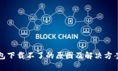 TP钱包下载不了的原因及解