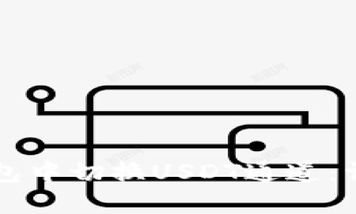 如何在TP钱包中切换USDT通道：详细操作指南