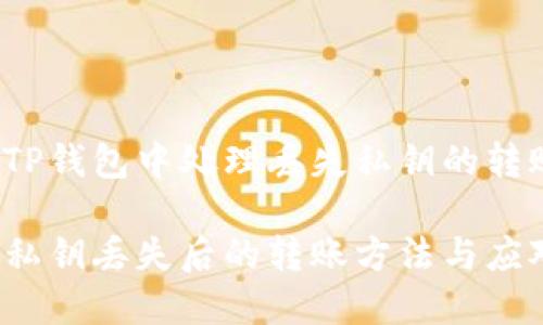 如何在TP钱包中处理丢失私钥的转账问题？

TP钱包私钥丢失后的转账方法与应对策略