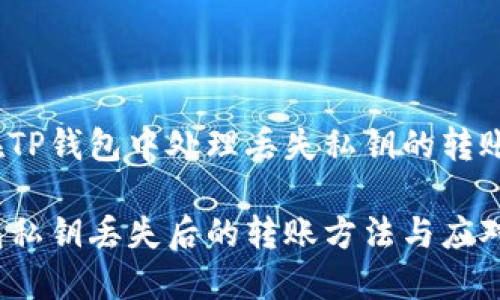 如何在TP钱包中处理丢失私钥的转账问题？

TP钱包私钥丢失后的转账方法与应对策略