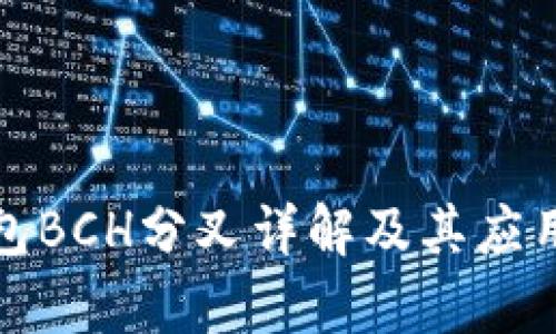 冷钱包BCH分叉详解及其应用前景
