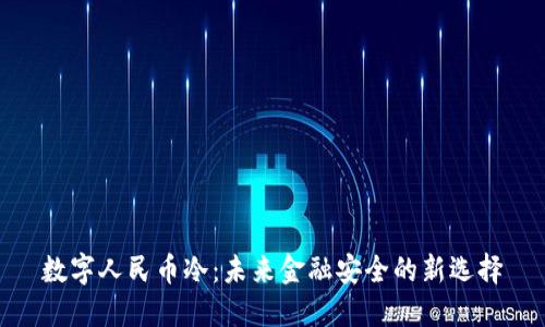 数字人民币冷：未来金融安全的新选择